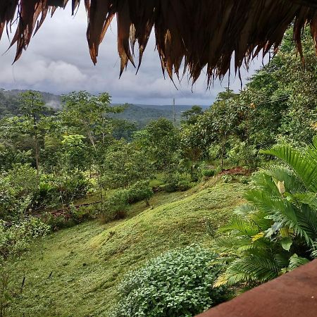 Barba Negra Adventure House Villa Sierpe Eksteriør billede