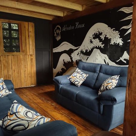 Barba Negra Adventure House Villa Sierpe Eksteriør billede